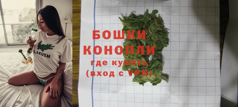 дарк нет состав  Разумное  Марихуана OG Kush 